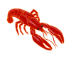 Crabes Homard Crabes Animaux marins