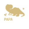 Papasaurus for far og børn | Fars dag gave