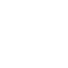 sprinter