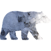 Polar bear (b)
