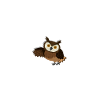 owl