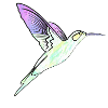 kolibri Effekt