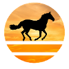 Horse Circle