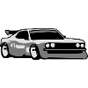Race car tuning car