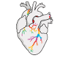 LGBT Heart Gay Pride