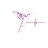 Hummingbird Effect Heartbeat