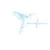 Hummingbird effect heartbeat blue