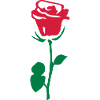 rose fleur 85