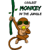 Coolest Monkey in the Jungle