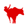 Wild bullfighting rodeo gift