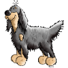 Sweet Gordon Setter