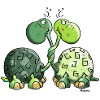 Funny Turtles - Turtle