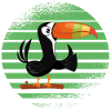 Tropical bird toucan