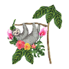 sloth