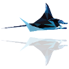 manta_06201401