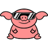Sunglasses party cool pig