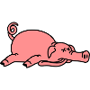Totes Schwein am Boden
