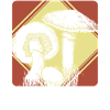 Champignons