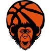 basketball monkey chimpanze basketball ball