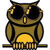 OWL sunglasses