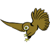 Chasse oiseau chouette