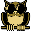 OWL bird forest sunglasses