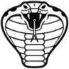 Cobra Snake Design