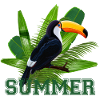 Toucan perroquet et feuilles tropicales