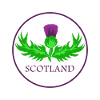Schottland Distel Nationalblume