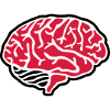 Brain