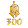 300 gift gift idea