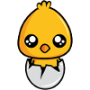 Kücken hatches from the egg!