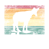 Okapi gift