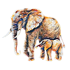 Éléphant