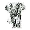 Elefant