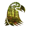 Wald Adler