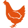poule 18