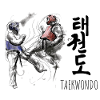 taekwondo cup