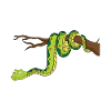 Snake Cartoon Green Funny
