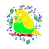 Budgie