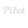Pilot pilots