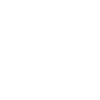 President in Progress