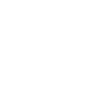 Tesla 1