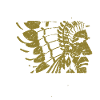Amérindien Amérindien Indien Indien Indien