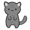 Tiger cat