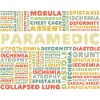 paramédical