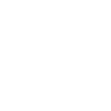Bicycle skull
