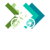 Cycle