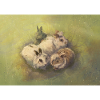 Rabbit Pack