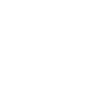 Run Forest Run